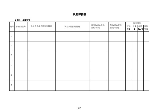 船舶风险评估表