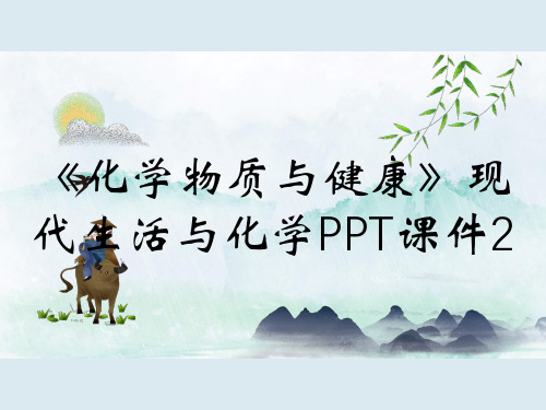 《化学物质与健康》现代生活与化学PPT课件2