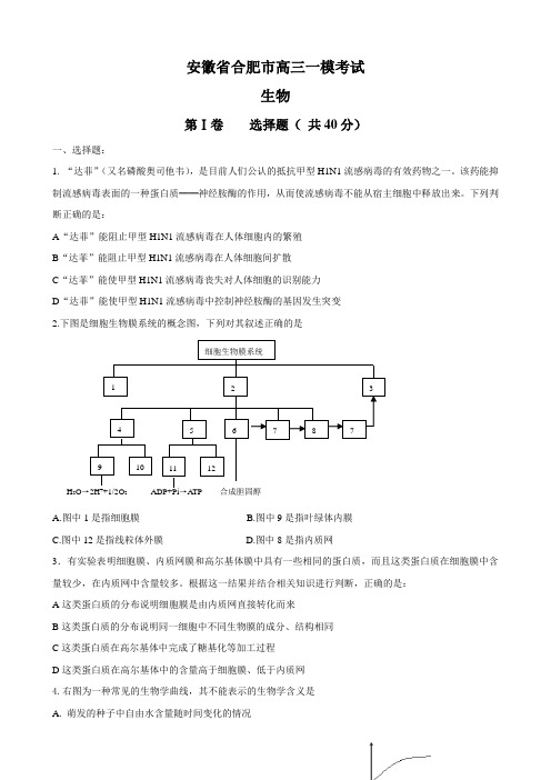 安徽省合肥市高三一模考试(生物)