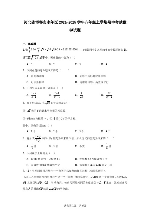 河北省邯郸市永年区2024-2025学年八年级上学期期中考试数学试题