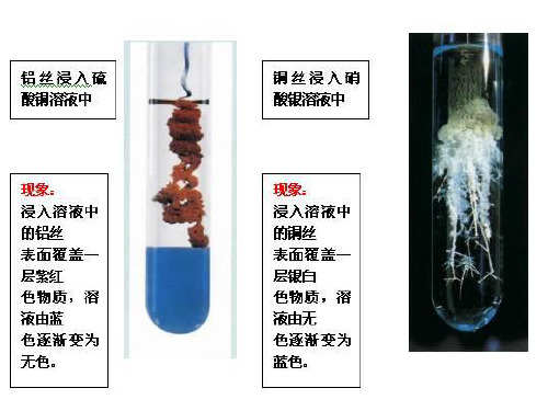 金属活动性顺序的判定