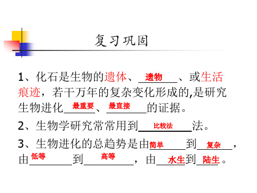 2022-2023学年人教版生物八年级下册5.3.3+++生物进化的原因++课件-