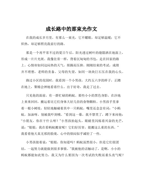 成长路中的那束光作文