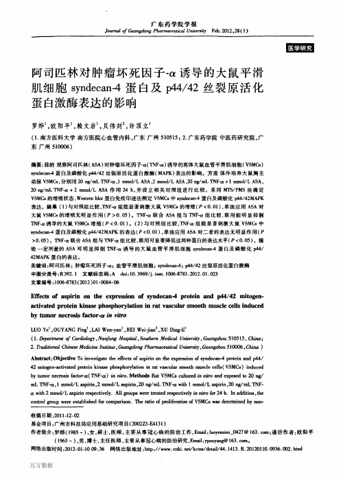 阿司匹林对肿瘤坏死因子α诱导的大鼠平滑肌细胞蛋白及丝裂原活化蛋白激酶表达的影响