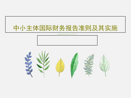 中小主体国际财务报告准则及其实施PPT27页