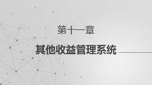 《收益管理》课件—11其他收益管理系统