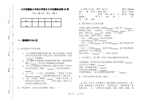 小升初精选小升初小学语文小升初模拟试卷IV卷