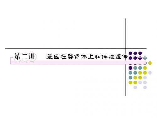 必修二2-2基因在染色体上和伴性遗传