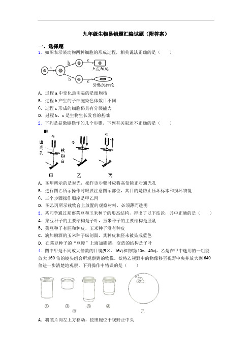 九年级生物易错题汇编试题(附答案)