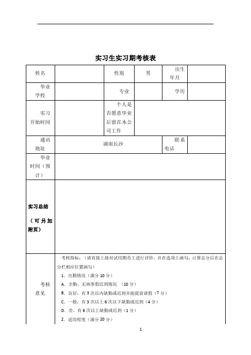 实习生实习期考核表