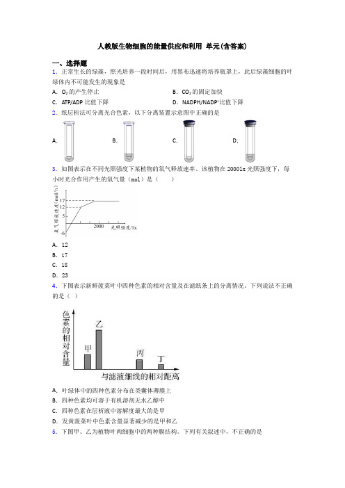 人教版生物细胞的能量供应和利用 单元(含答案)