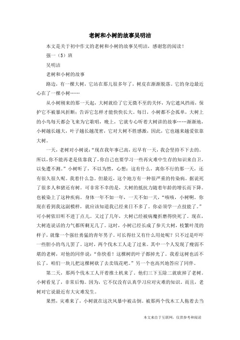 老树和小树的故事吴明洁_初中作文