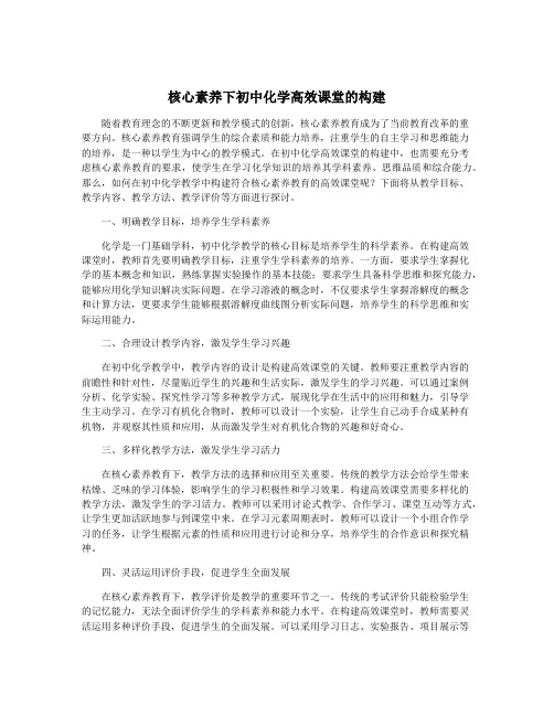 核心素养下初中化学高效课堂的构建