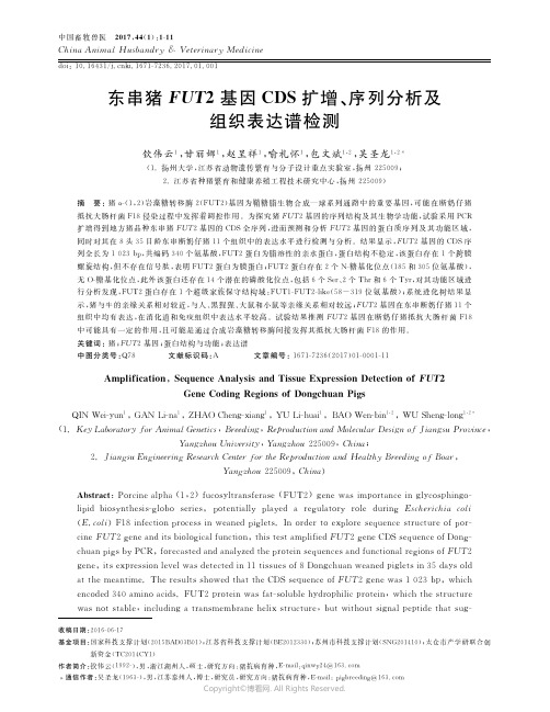 13454822_东串猪FUT2基因CDS扩增、序列分析及组织表达谱检测