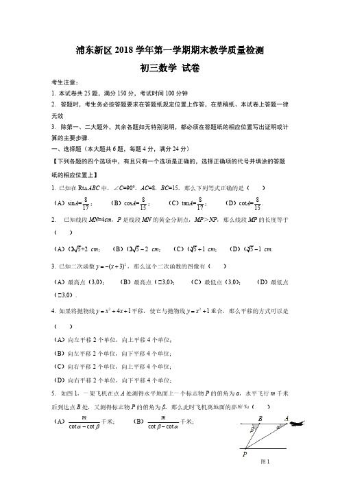 2019浦东新区初三数学一模及答案解析