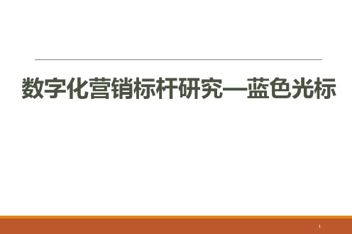 数字化营销标杆研究蓝色光标ppt课件