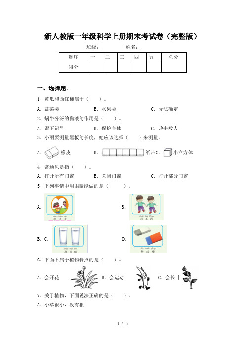 新人教版一年级科学上册期末考试卷(完整版)