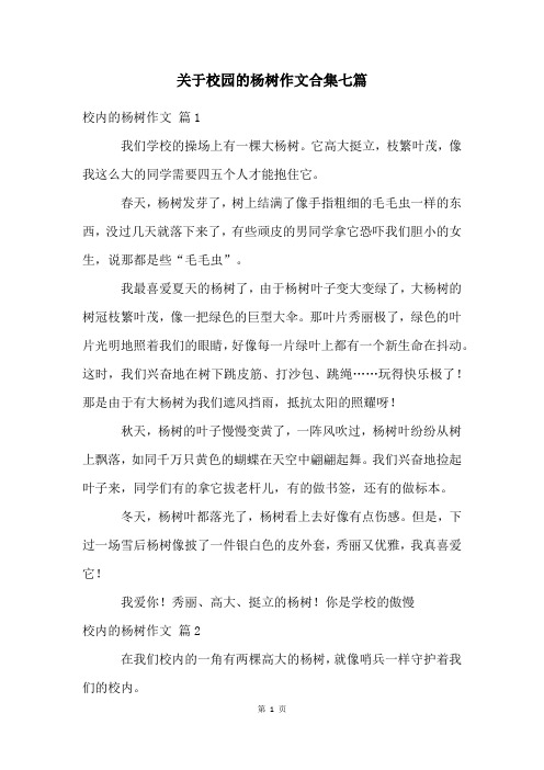 关于校园的杨树作文合集七篇