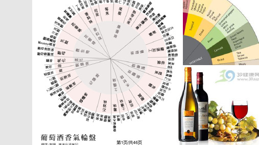 食品风味化学嗅感及嗅感物质一PPT课件