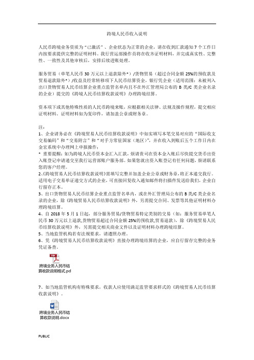 跨境人民币收入说明PDF468KB