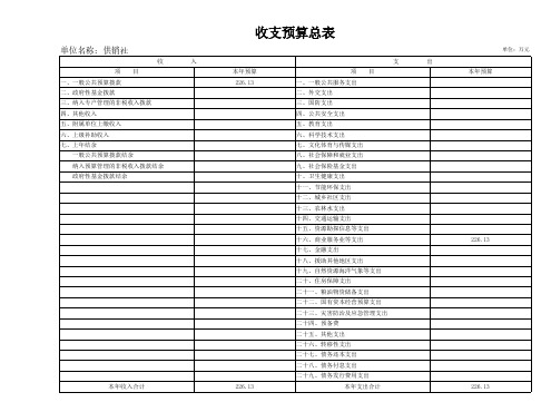 收支预算总表