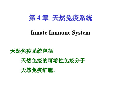 天然免疫系统InnateImmuneSystem