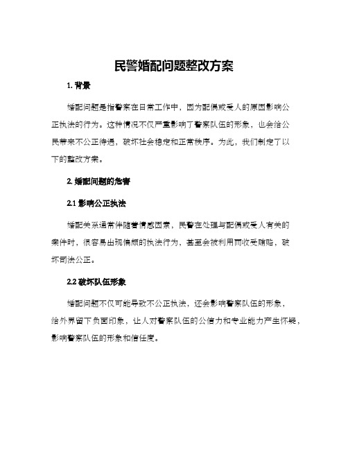 民警婚配问题整改方案