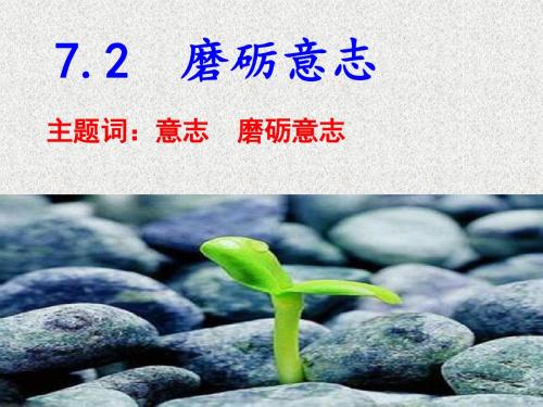 粤教版道德与法治七年级下册7.2.1《战胜挫折需要坚强的意志》ppt课件3