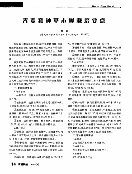 春麦套种草木樨栽培要点