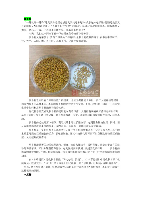 谷物的故事