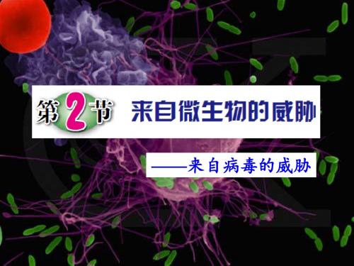 浙教科学九年级下册第3章第2节 来自微生物的威胁(共21张PPT)