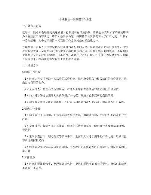 专项整治一案双查工作方案