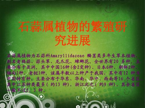 石蒜属植物的繁殖研究进展