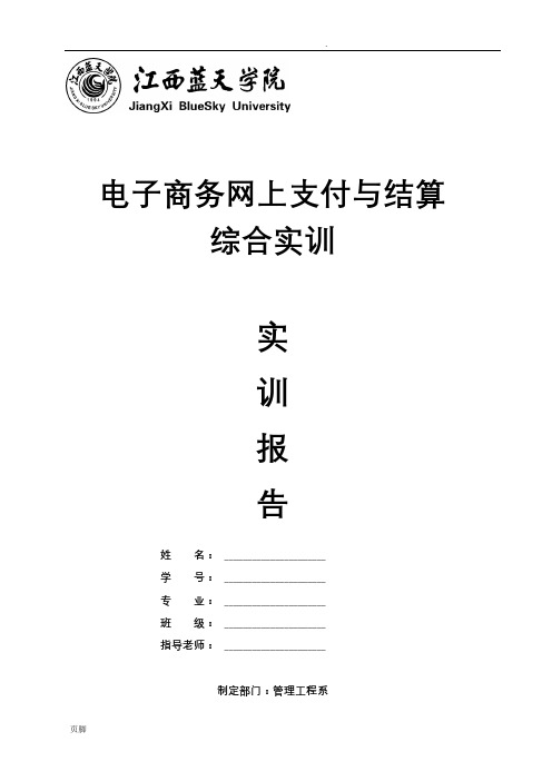 电子商务网上支付综合实训报告