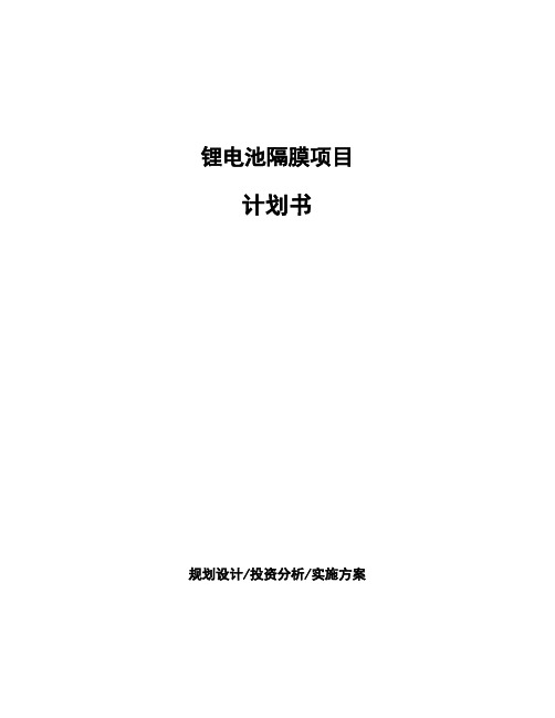 锂电池隔膜项目计划书