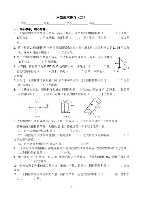 苏教版六年级数学下册周末练习(三)