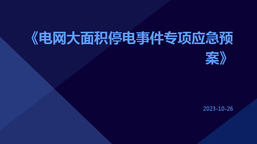 电网大面积停电事件专项应急预案