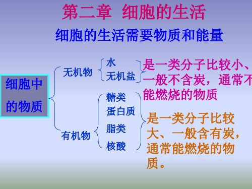 初中生物  细胞的生活需要物质和能量13 人教版精品课件
