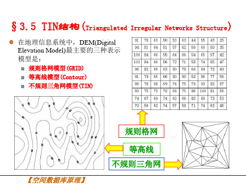 TIN数据结构