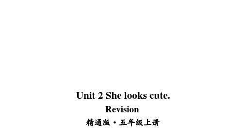 人教精通版2020-2021学年五年级英语上册Unit 2 She looks cute. Revision课件