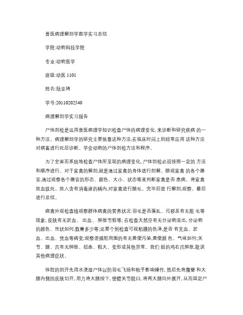 兽医病理解剖学教学实习总结