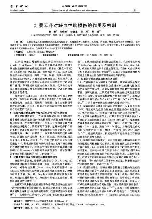红景天苷对缺血性脑损伤的作用及机制