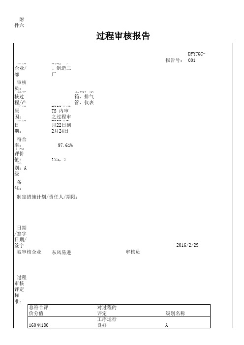 IATF 16949质量管理体系   年过程审核总结报告(例)