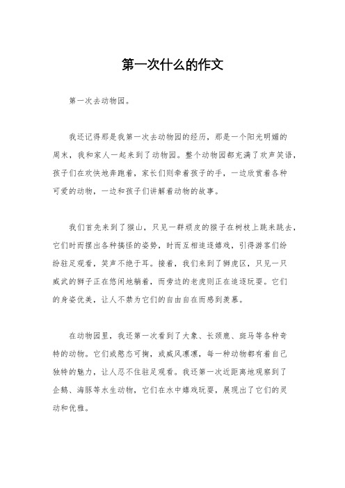 第一次什么的作文