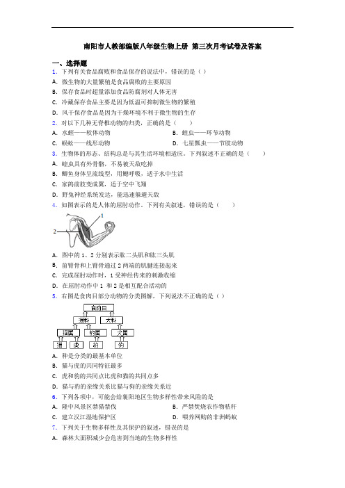 南阳市人教部编版八年级生物上册 第三次月考试卷及答案