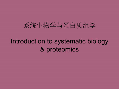 蛋白质组学ppt课件