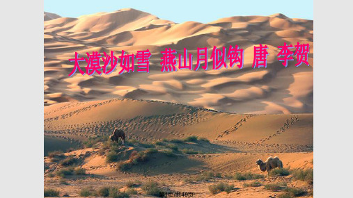 在沙漠中心资料PPT课件
