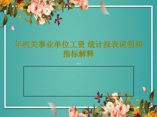 年机关事业单位工资 统计报表说明和指标解释共82页文档