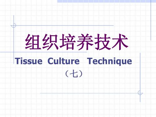 组织培养技术(7)