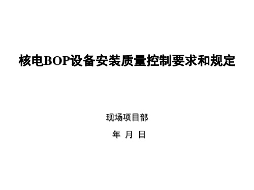 核电BOP设备安装质量控制要求和规定